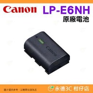 Canon LP-E6NH 盒裝原廠電池 LPE6NH LP-E6 LPE6 原電 適用 5D4 R5 R6 R7