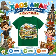 Short-sleeved children's t-shirts, cute mountain souvenir t-shirts, bromo