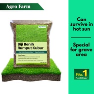 Agro Farm Biji Benih Rumput Kubur - Khas Untuk Kawasan Kubur / Grass Seed