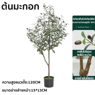 Rambo One ต้นไม้ปลอม ต้นโอลีฟ ต้นมะกอกปลอม120/150/180cm สไตล์นอร์ดิกอิน ลำต้นสีน้ำตาลเหมือนของจริง