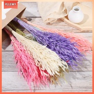 PLLEWY 25/50PCS DIY Craft Material Props Real Flower Wheat Ear Grass Plant Stems Artificial flowerss Bouquets