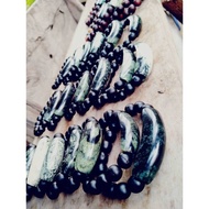 Gelang Batu Tok Wali + Kemuning Hitam