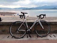 CARRERA 700C 碳纖維公路車