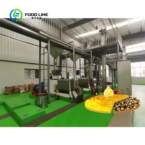 customized Ethiopia Castor Groundnut Oil Making Extraction Machine High Yield Commercial Oil Process