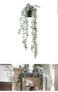 artificial plant FEJKA Artificial potted plant in/outdoor hanging/eucalyptus 9 cm