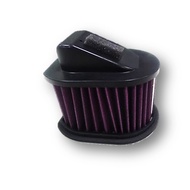 Z800 AIR  FILTER  RZ