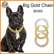 Doberman Pinscher Gold Chain Collar Super Cool Pet Beautiful
