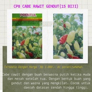 BENIH BIBIT BIJI CABE CABAI RAWIT PUTIH MERAH GENDUT PRENTUL