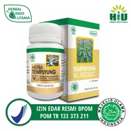 Tempuyung Obat Batu Ginjal Empedu dan Radang