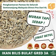 IKAN BILIS BULAT GRED 3A / RANGUP & LEMAK /MURAH KAW KAW DARI TAWAU SABAH
