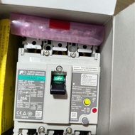 Fuji Global Product Circuit Breaker EW50RAGU 2P 3P EW100RAGU 2P 3P Consultation Global Products