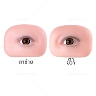 ขนตาฝึกหัด 6D 3 ชั้น สามารถย้ายตำแหน่งได้ ใช้ซ้ำได้