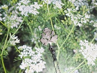 香港一元硬幣 芫荽頸鏈