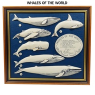 WHALES OF THE WORLD ปลาวาฬ 6 ชนิด แกะสลักสามมิติ [History Craft UK] แขวนผนัง