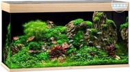 JUWEL Rio 300 Light Wood (Tank only) (121x51x66cm)