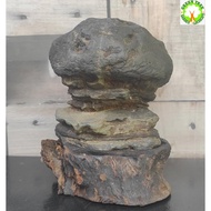 Suiseki stone / Ornamental Stone for Living room / Office / Home decoration 雅石/纯天然奇石/观赏石  (12cm x 11