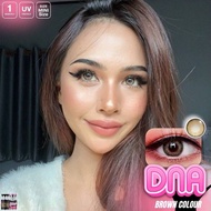 คอนแทคเลนส์✨ขนาดบิ๊กอายตาโตมาก✨สี : Brown / Gray / พร้อมส่งสุดๆรุ่น : .Dna(Wink) แถมตลับฟรีจ้า