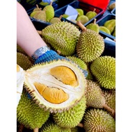 ！LAST CALL！【JB-SKUDAI / SENAI / MASAI / PASIR GUDANG 】D13 A种榴莲新鲜出炉 口味苦中带甜、口感绵密 - 1KG RM30