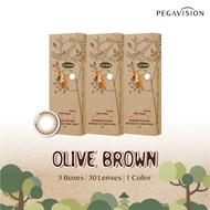 PEGAVISION คอนแทคเลนส์สี รายวัน รุ่น Forest Miracle (set 3 กล่อง/30เลนส์)