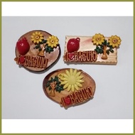 ✹ ◰ ◳ Ref Magnet Baguio/ Fridge Magnet/ Baguio Souvenirs