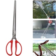 Eel Clamp Scissors, Rice Field Eel Clamp, Long Paddy Field Eel Catching Tool