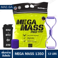 MEGA MASS 12  lb เมก้าแมส 12 ปอนด์ เวย์โปรตีนเพิ่มน้ำหนัก+เพิ่มกล้าม
