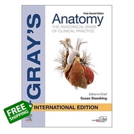 Difference but perfect ! หนังสือภาษาอังกฤษ Grays Anatomy International Edition by Susan Standring พร