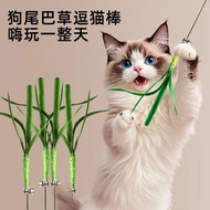 Teasing Cat Sticks Pet Toys Cat Toys, Bells