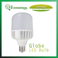 My Evergreen Light 50W Globe LED Bulb E40 Socket Daylight or Warm White for High Ceiling