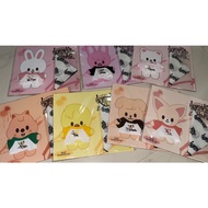 [ dominATE Celebrate ] Stray Kids -- SKZOO Standing Outfit