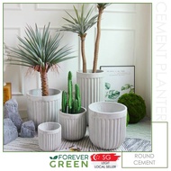 Cement Planter Pot Fiberglass Pot Fibreglass Pot Outdoor Pot Real Plant Pot Tree Pot