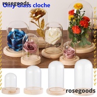 ROSEGOODS1 Glass cloche Terrarium Tabletop Plants Glass Vase Terrarium Jar Flower Storage box