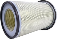 LSSOCH Air Filter AF4739 P804759 JM-1049 P804759 FS631 AF4697 YY631A ST40631A ME03371 Compatible wit