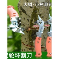 Can Be Candied Grapefruit Date Tree Lychee Tree Fruit Tree Ring Cutter Apple Pear Tree Adjustable La