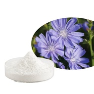 Natural Chicory Powder 菊苣粉 Inulin Powder Chicory Root Powder 500g/1000g