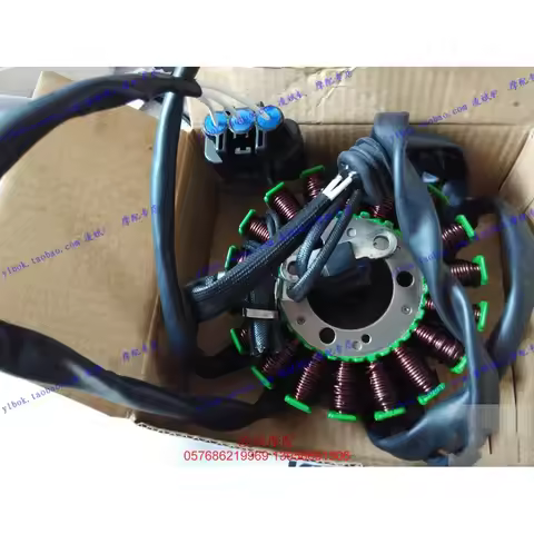 Motorcycle Ignition Magneto stator for Benelli Zafferano 250 BJ250T-8 KEEWAY RK5 Silverblade 250 Ins