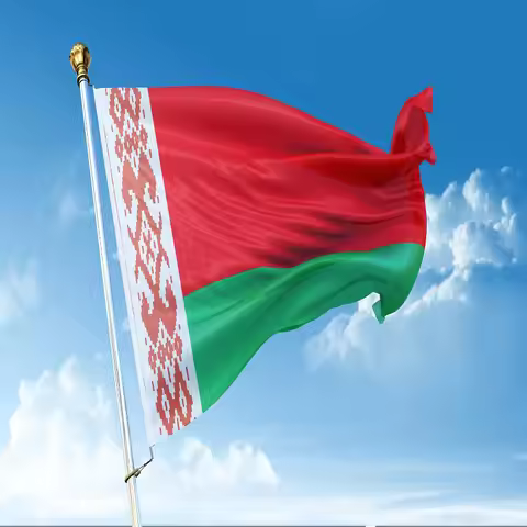 Belarus Flag 5 Pcs/lot Republic of Belarus National Flag 90x150cm Belarus National Flag wholesale