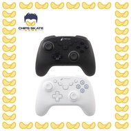 Cyber Gadget Nintendo Switch Gaming Wireless Controller HG Smart