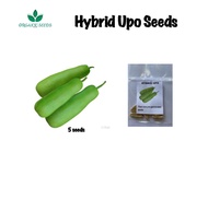 UPO SEEDS TAMBULI/HYBRID/VEGETABLE SEEDS(5pcs)