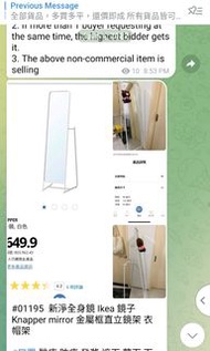 新淨全身鏡 Ikea 鏡子 Knapper mirror 金屬框直立鏡架 衣帽架