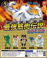 全新 KATSU 創作工房 最強筋肉傳說 超進化體態 扭蛋 (全5種)