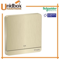 SCHNEIDER E8331D45N_GH_G11 AvatarOn Switch, 2-pole 1-way, LED, brass terminal, IP20, metal gold hair