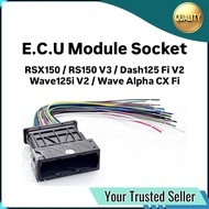 Socket ECU Module CDI Unit E.C.U Unit C.D.I Wire Wayar Wayer Wiring ECU Soket RSX RS-X 150 RSX-150 R