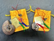 真正獨家自家- 專人喺西藏寺廟統一開光： (己由西藏寺廟供同開光加持) 西藏斑彩螺福袋