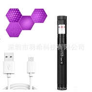 Rechargeable USB ser303 Gypsophila Laser Flashlight Blue Purple Laser Laser Pen Anti Blue Laser Test