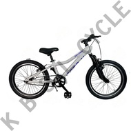 Raleigh Strom 20'' Bike