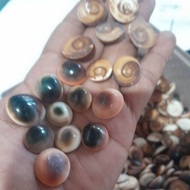 20 pcs keyong kollbuntets agate natural 16 to 20 mm