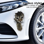 【3D Raised Design】Cartoon Cat Car Sticker / 3D Vinyl Decal / Cute Cat Auto Accessories / Waterproof 