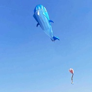 Fang 3D Software Dolphin Whale Kite ea