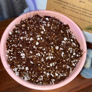 2Liter Soiless Seeds Germination Mix  for vegetable/ herbs &amp; microgreen seeds. Can also be mix with potting soil  for better plant growth. 100% sterile &amp; free of contaminants &amp; pathogens. Almost completely dry to avoid forming of molds during transport.